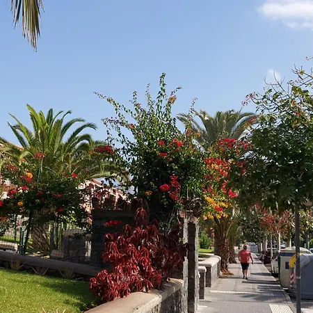 Tagoro Park Costa Del Silencio